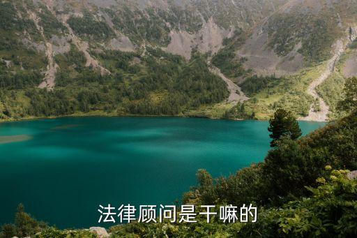 法律顧問，什么是法律顧問他們的收入如何