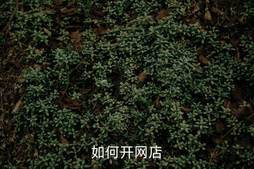 如何開網(wǎng)店