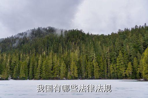 我國(guó)有哪些法律法規(guī)