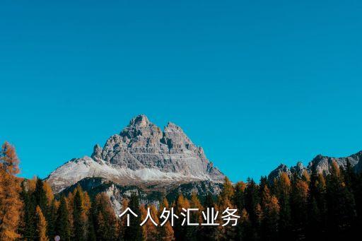 個人外匯管理辦法，匯發(fā) 1號個人外匯管理辦法實施細則中規(guī)定對個人結匯和境內(nèi)個