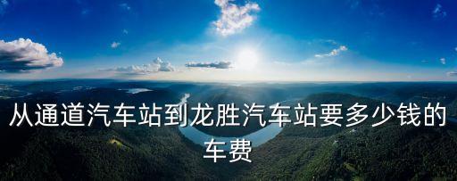 從通道汽車站到龍勝汽車站要多少錢的車費(fèi)