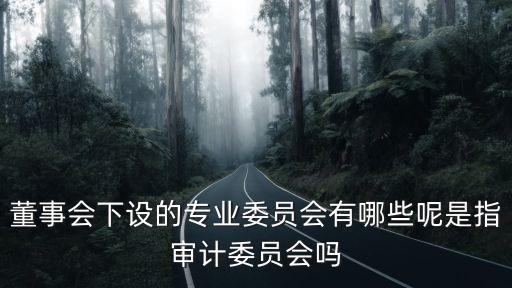 董事會(huì)下設(shè)的專(zhuān)業(yè)委員會(huì)有哪些呢是指審計(jì)委員會(huì)嗎