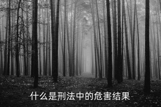 什么是刑法中的危害結(jié)果