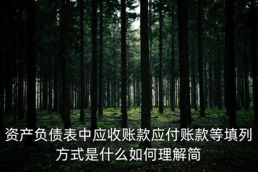 資產(chǎn)負(fù)債表中應(yīng)收賬款應(yīng)付賬款等填列方式是什么如何理解簡