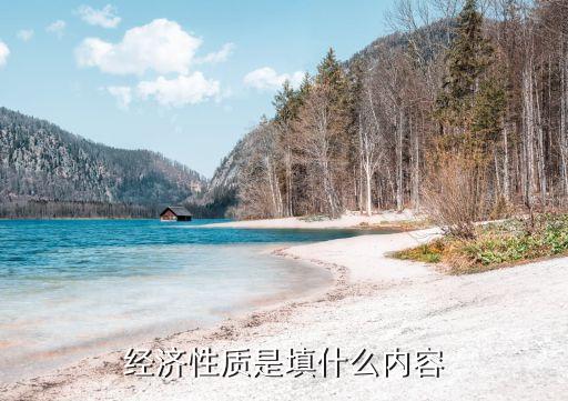 經(jīng)濟(jì)性質(zhì)是填什么內(nèi)容
