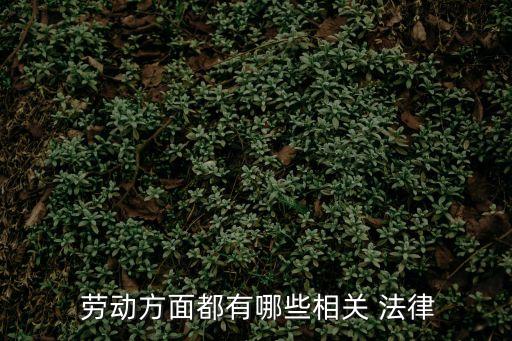 勞動(dòng)方面都有哪些相關(guān) 法律