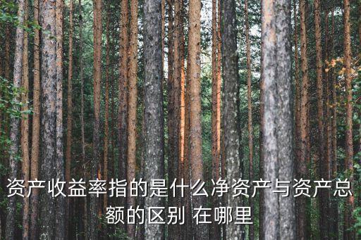 資產(chǎn)收益率指的是什么凈資產(chǎn)與資產(chǎn)總額的區(qū)別 在哪里
