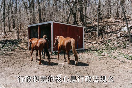 什么是行政法規(guī)，增值稅暫行條例屬于會計行政法規(guī)嗎