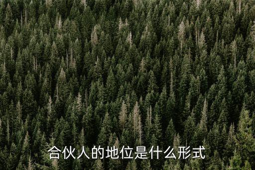 合伙人的地位是什么形式