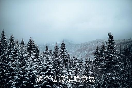 這個法諺是啥意思