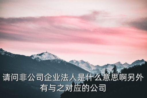 請問非公司企業(yè)法人是什么意思啊另外有與之對應的公司