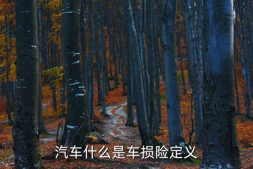 汽車什么是車損險(xiǎn)定義