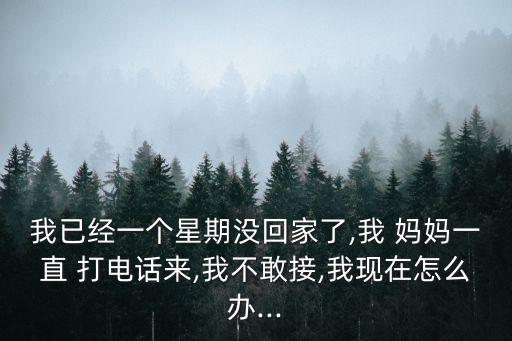 媽媽打電話,男朋友天天給他媽媽打電話