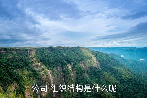  公司 組織結(jié)構(gòu)是什么呢