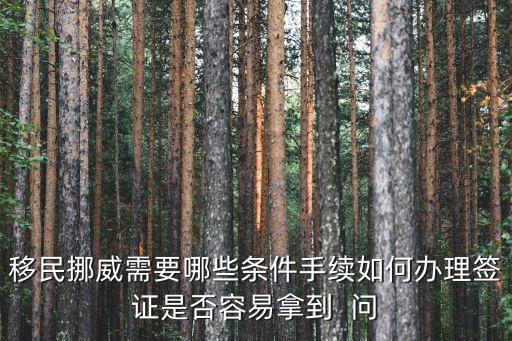移民挪威，移民挪威需要哪些條件手續(xù)如何辦理簽證是否容易拿到  問