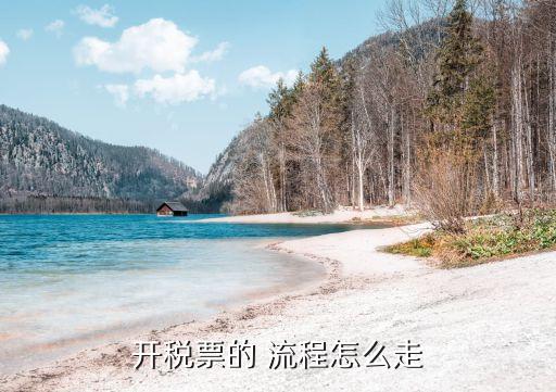 開票流程,電子稅務(wù)局開票流程
