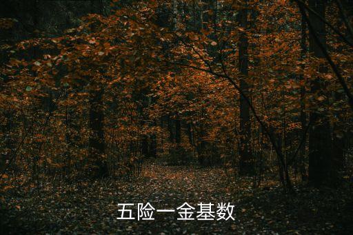 五險(xiǎn)基數(shù)，五險(xiǎn)一金基數(shù)