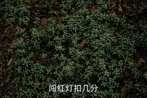 闖紅燈扣幾分