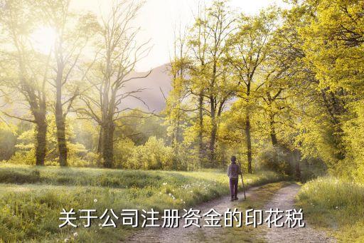 注冊資本印花稅，關于公司注冊資金的印花稅