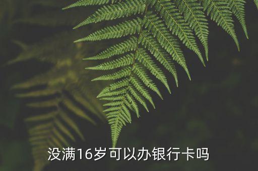 沒滿16歲可以辦銀行卡嗎