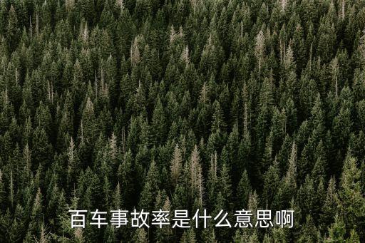 百車事故率是什么意思啊