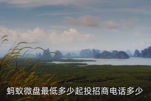 螞蟻微盤最低多少起投招商電話多少