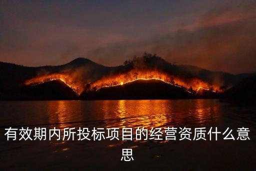 有效期內(nèi)所投標(biāo)項目的經(jīng)營資質(zhì)什么意思