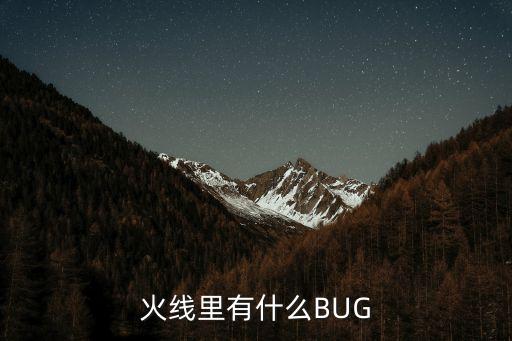 火線里有什么BUG