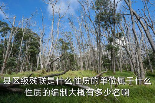 殘聯(lián)是什么性質(zhì)的單位，殘疾人聯(lián)合會是各類殘疾人的統(tǒng)一組織其性質(zhì)是國家機關(guān)這句說的