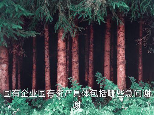 國(guó)有資產(chǎn)，國(guó)有資產(chǎn)指什么