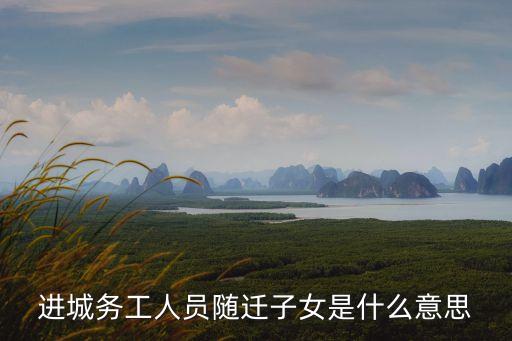 進(jìn)城務(wù)工人員隨遷子女是什么意思
