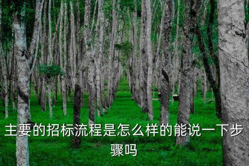 主要的招標(biāo)流程是怎么樣的能說(shuō)一下步驟嗎