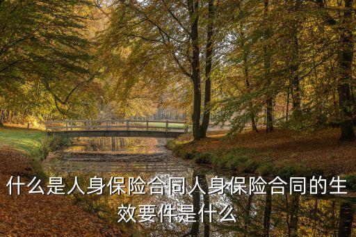 人身保險(xiǎn)合同，人身保險(xiǎn)合同的形式主要有哪些