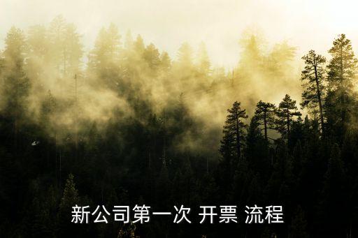 新公司第一次 開票 流程
