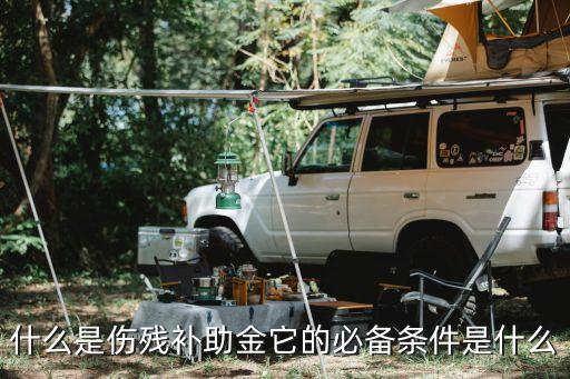 傷殘補助金，一次性傷殘補助金究竟怎樣算