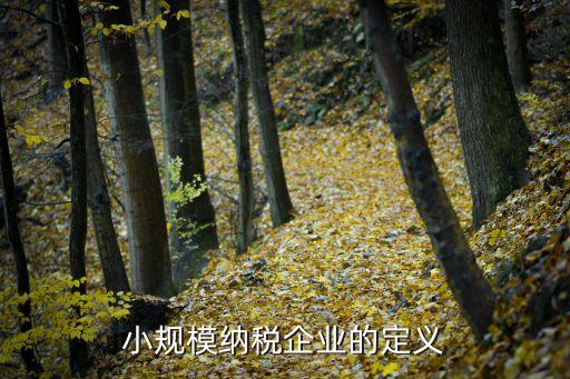 小規(guī)模納，什么叫小規(guī)模納稅人