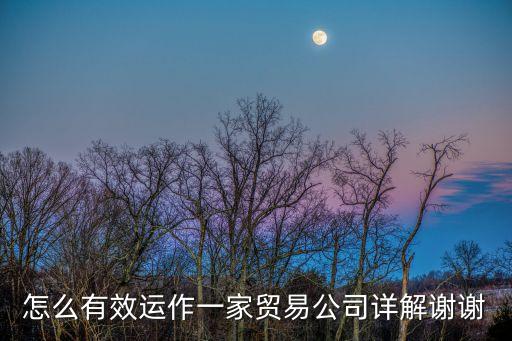 怎么有效運作一家貿(mào)易公司詳解謝謝