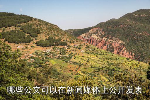 哪些公文可以在新聞媒體上公開發(fā)表