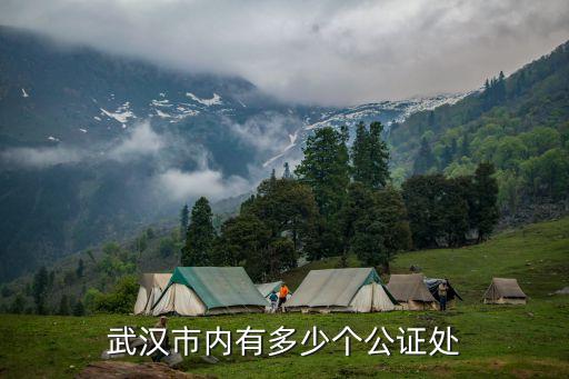 武漢公證處，武漢市內(nèi)有多少個公證處