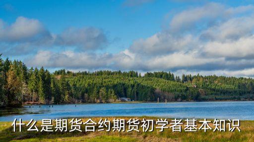 期貨合約，什么是期貨合約這是干嘛的