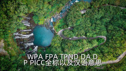 WPA FPA TPND DA DP PICC全稱以及漢語意思