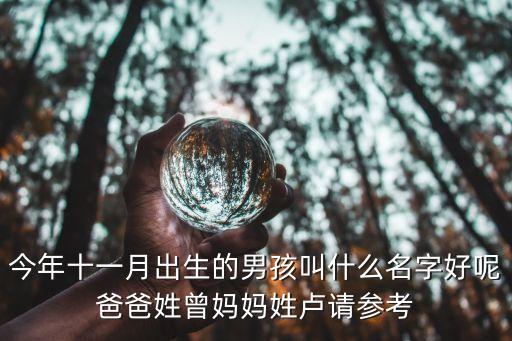 今年十一月出生的男孩叫什么名字好呢爸爸姓曾媽媽姓盧請參考