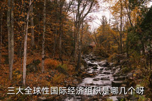 世界三大經(jīng)濟(jì)組織，世界三大經(jīng)濟(jì)組織除了國際貨幣基金組織世界銀行還有  搜
