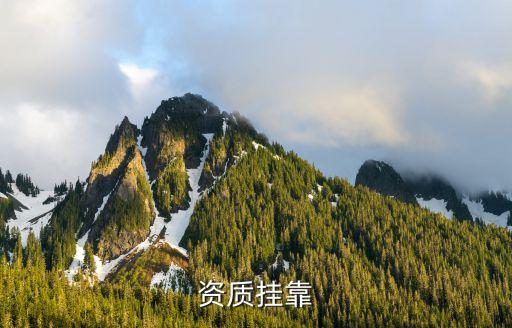 資質(zhì)掛靠