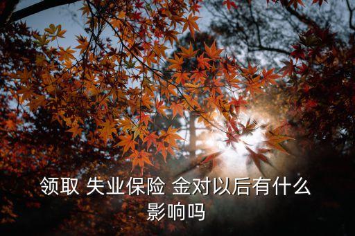  領(lǐng)取 失業(yè)保險 金對以后有什么 影響嗎