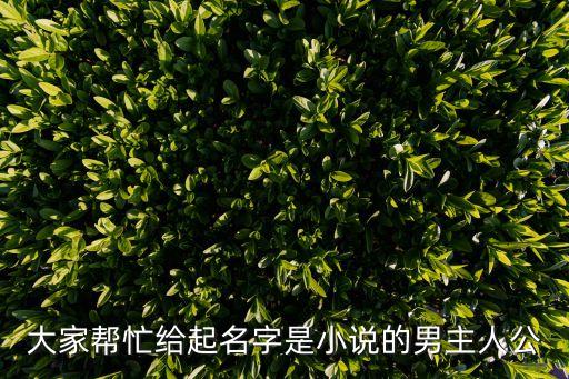 大家?guī)兔o起名字是小說的男主人公
