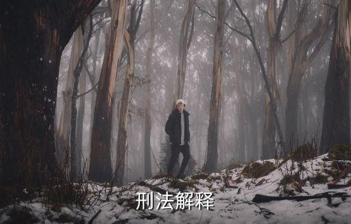 刑法解釋，刑法解釋的概念