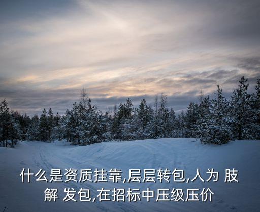 什么是資質(zhì)掛靠,層層轉(zhuǎn)包,人為 肢解 發(fā)包,在招標(biāo)中壓級壓價