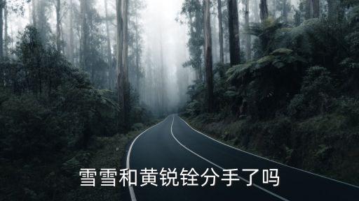 雪雪和黃銳銓分手了嗎