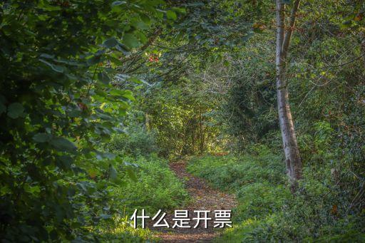 什么是開(kāi)票